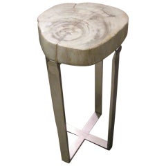 Petrified Wood Small Side Table