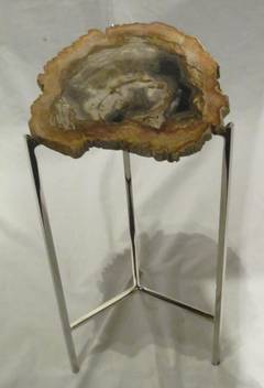 Small Petrified Wood Side Table