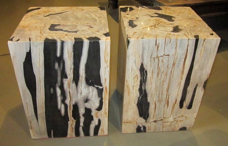 Indonesian petrified wood cubes / cream with black / can be used as side tables, end tables. A pair is available. Priced individually at $2950 each.