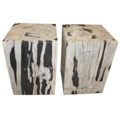 Petrified Wood Side Tables