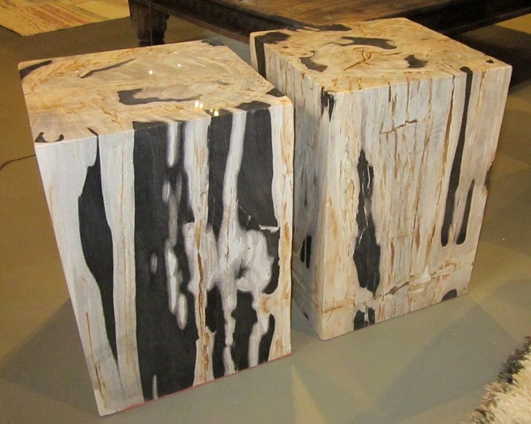 Indonesian Petrified Wood Side Tables