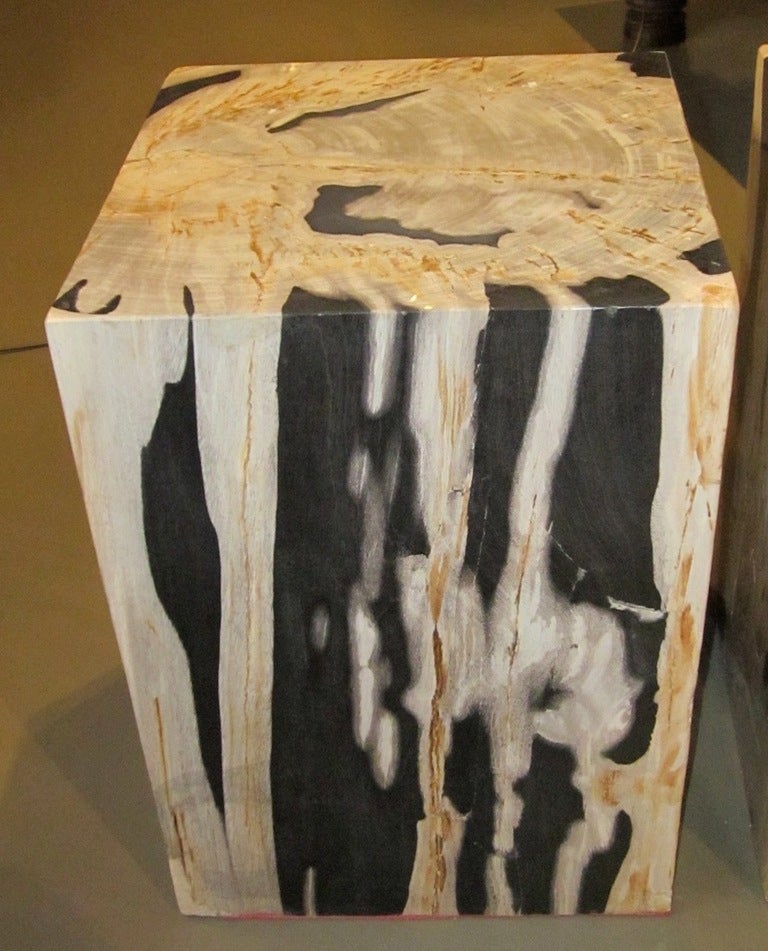 Petrified Wood Side Tables In Excellent Condition In New York, NY