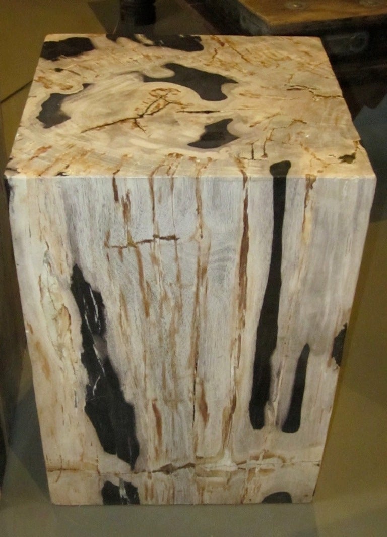 18th Century and Earlier Petrified Wood Side Tables