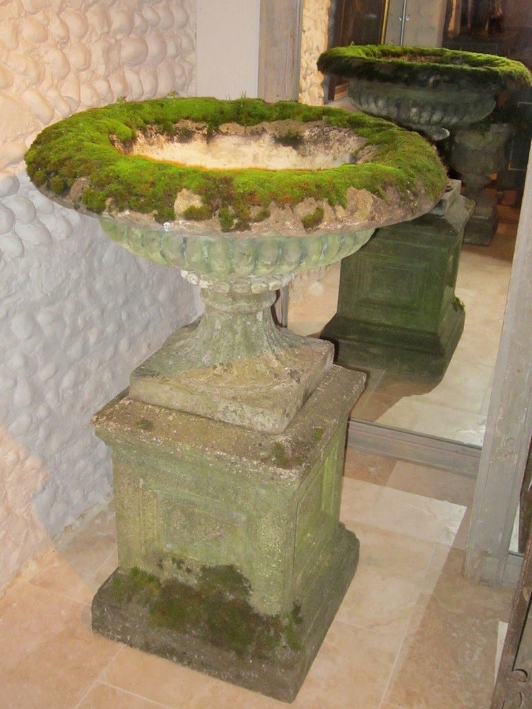 Pair of English Campagna Urns on Plinths