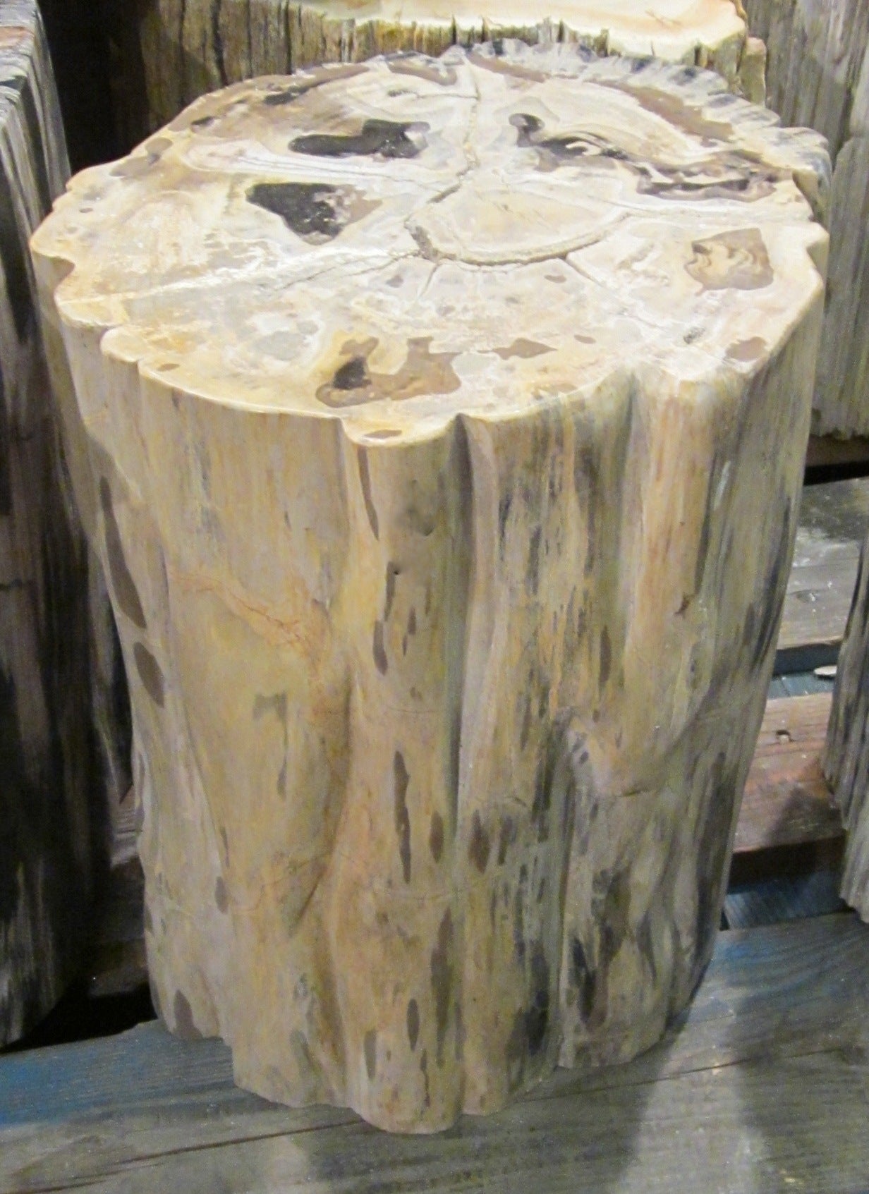 Indonesian Petrified Wood Round Cocktail Table at 1stDibs