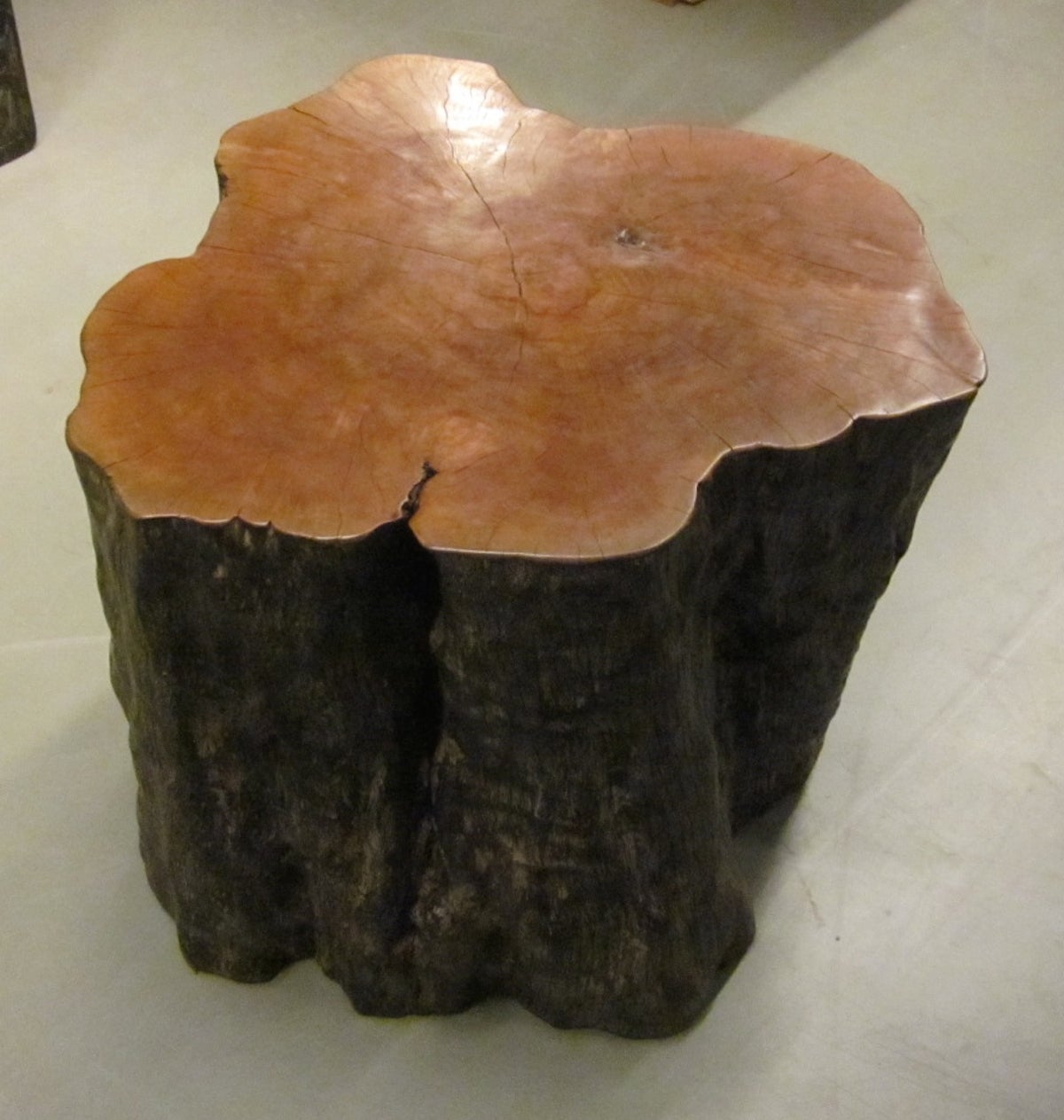 Prehistoric Lychee Wood Side Table from Indonesia 1