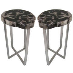 Indonesian Petrified Wood Slice Side Table