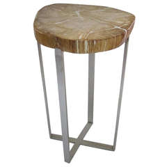 Petrified Rust Wood Slice Top Side Table