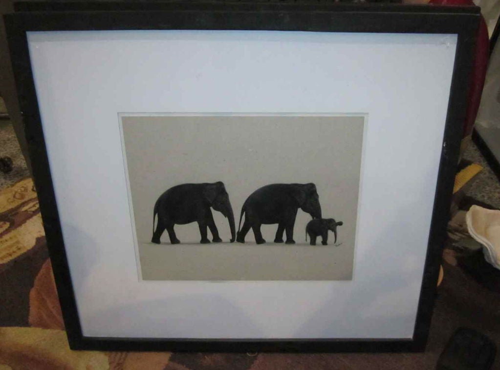Set of Four Elephant Drawings