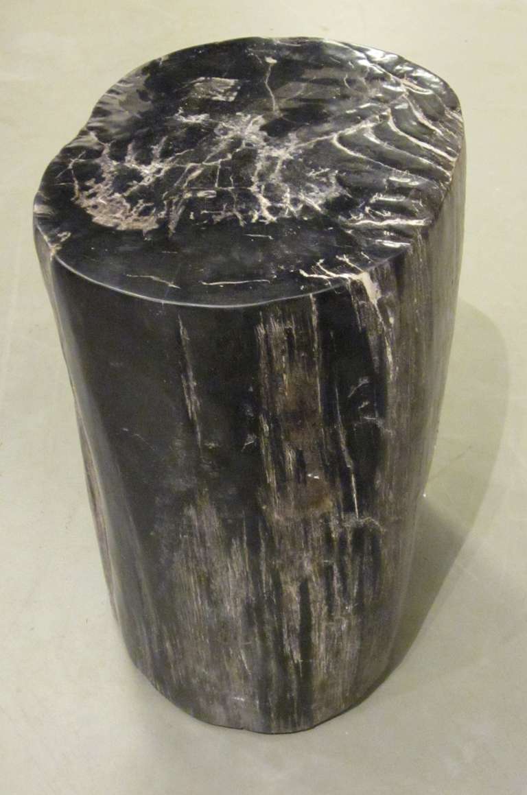 Indonesian petrified wood thin round cocktail table.
Black with cream accents.