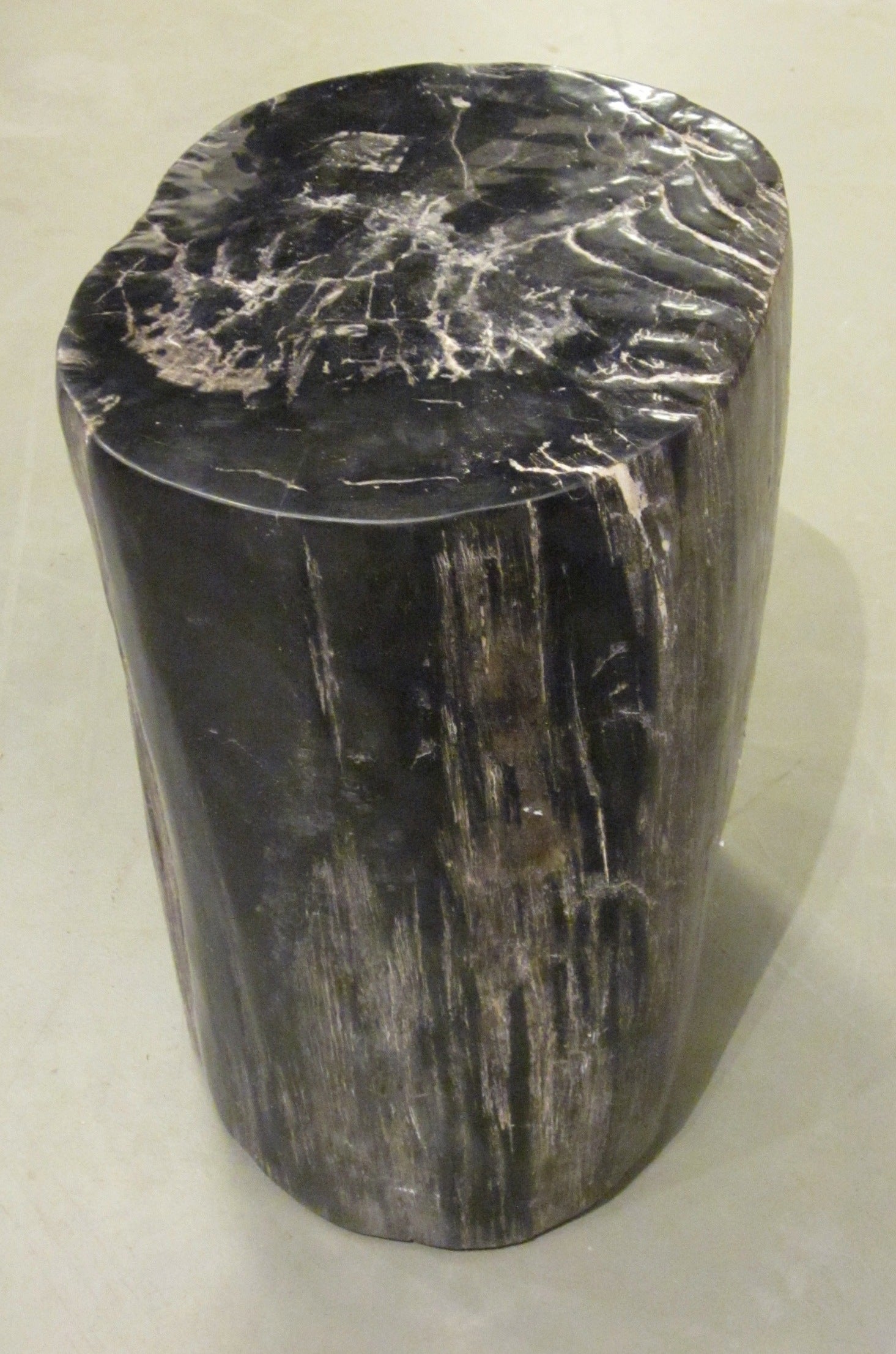 Indonesian petrified wood cocktail table