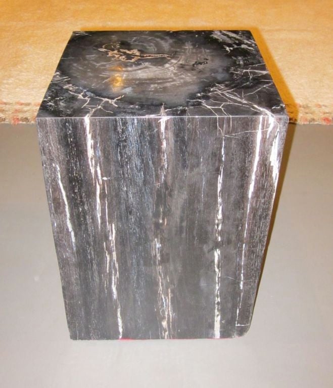 Petrified wood cube can be used as side table of coffee table
 high polish finish  /  beautiful natural patina