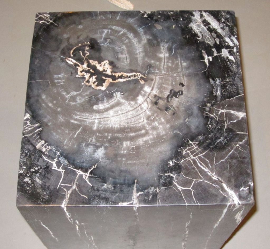 petrified wood cube side table