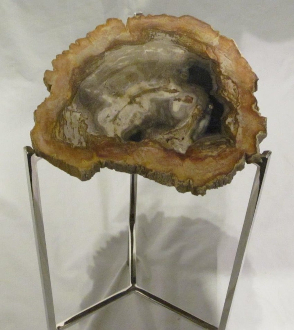 Petrified Wood Slice Small Side Table Prehistoric at 1stdibs