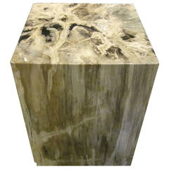 Petrified Wood Cube Taupe & Black Side Table, Indonesia