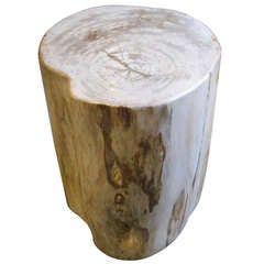 Petrified Wood Side Table Petrified Wood Side Table