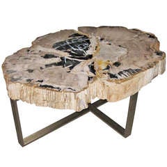 Antique Petrified Wood Coffee Table