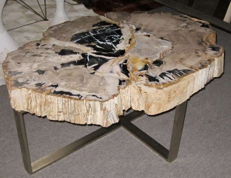 Prehistoric wood top on a custom nickel base coffee table.