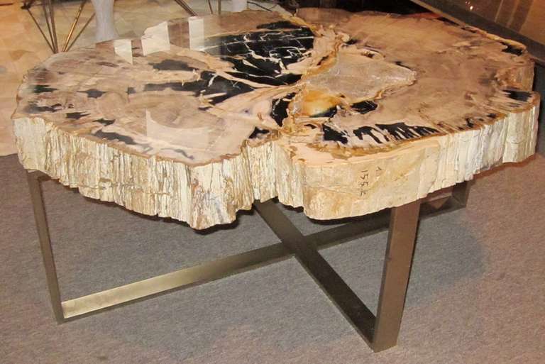 Petrified Wood Coffee Table In Excellent Condition In New York, NY