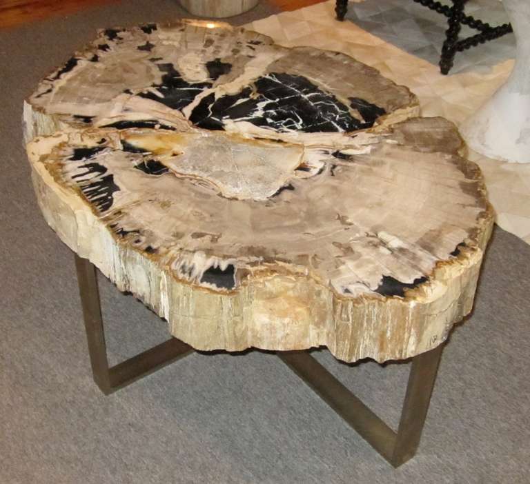 18th Century and Earlier Petrified Wood Coffee Table