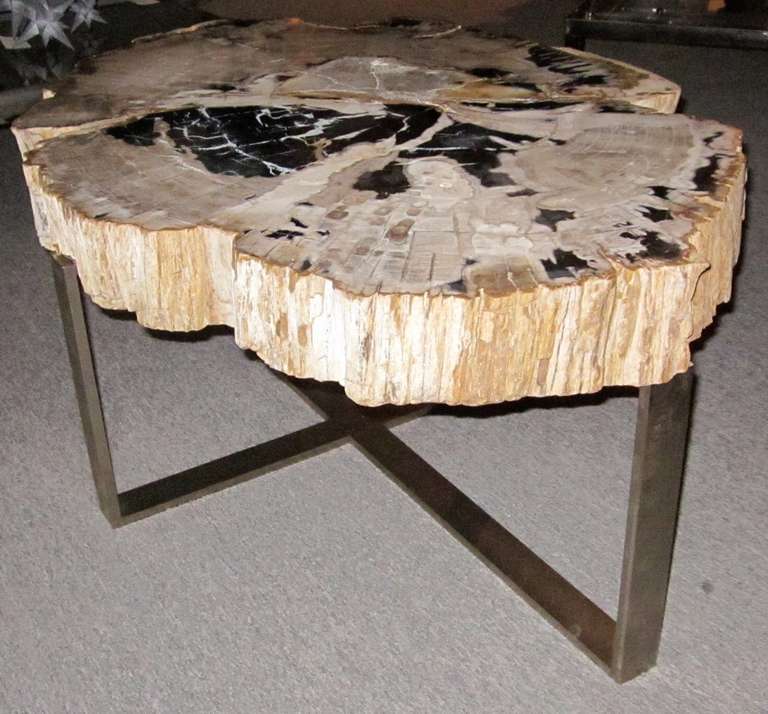 Petrified Wood Coffee Table 1