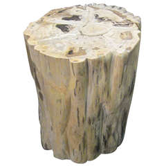 Indonesian Petrified Wood Round Cocktail Table