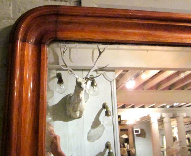 English 19th Century Extra Large Mahogany Frame Mirror, England
