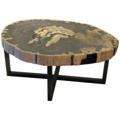 Antique Contemporary Indonesian Petrified Wood Coffee Table