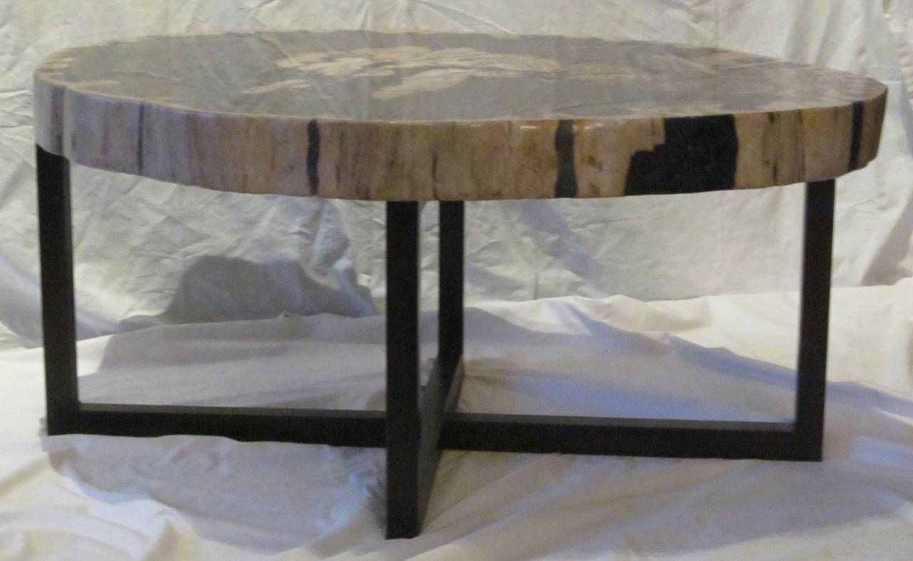 18th Century and Earlier Contemporary Indonesian Petrified Wood Coffee Table