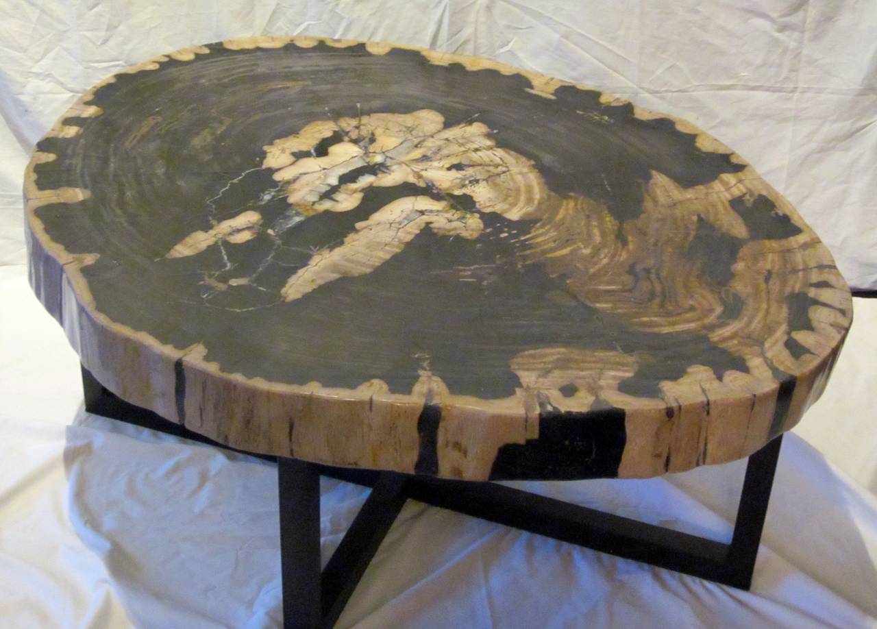 Contemporary Indonesian Petrified Wood Coffee Table 2