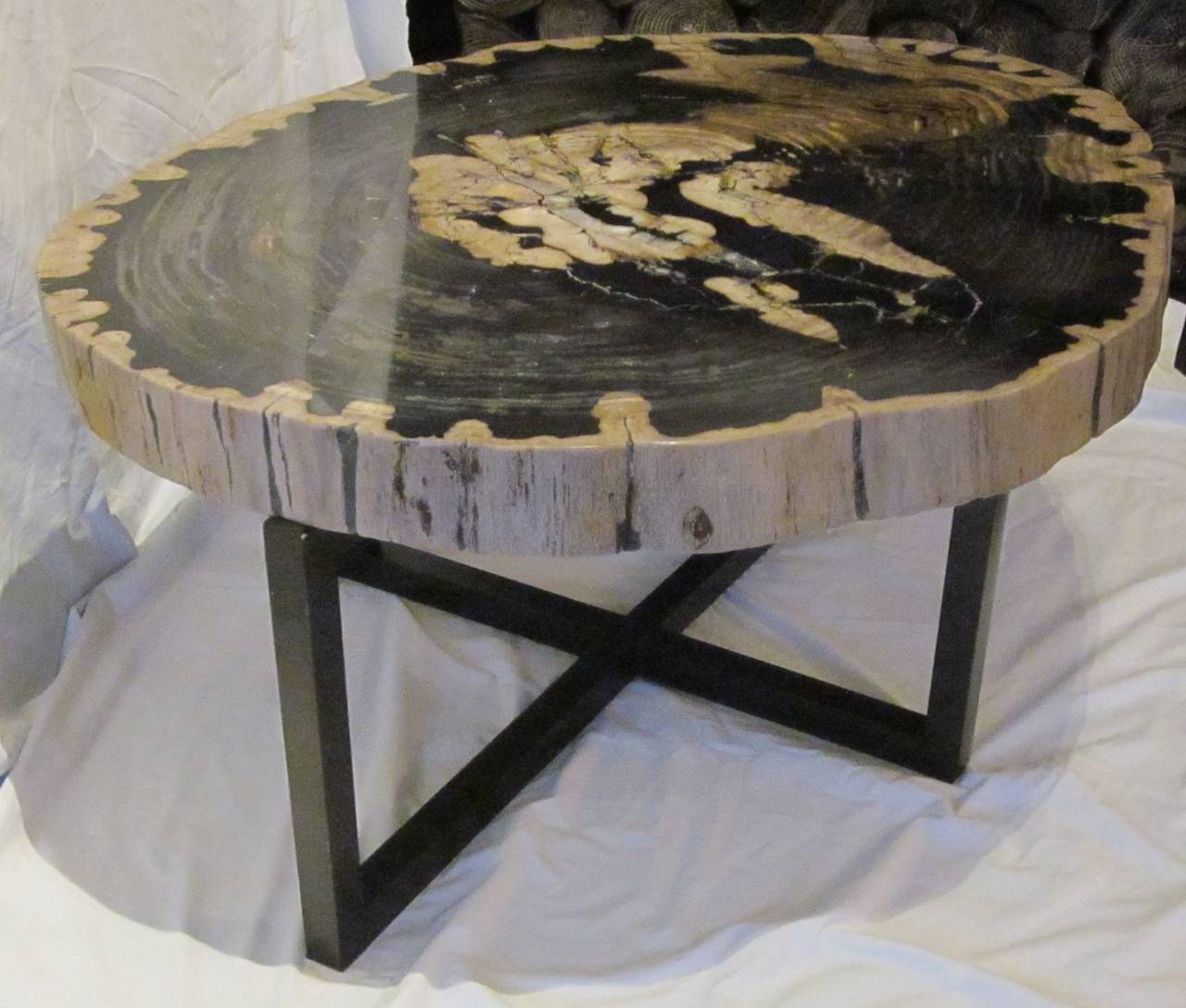 Contemporary Indonesian Petrified Wood Coffee Table In Excellent Condition In New York, NY