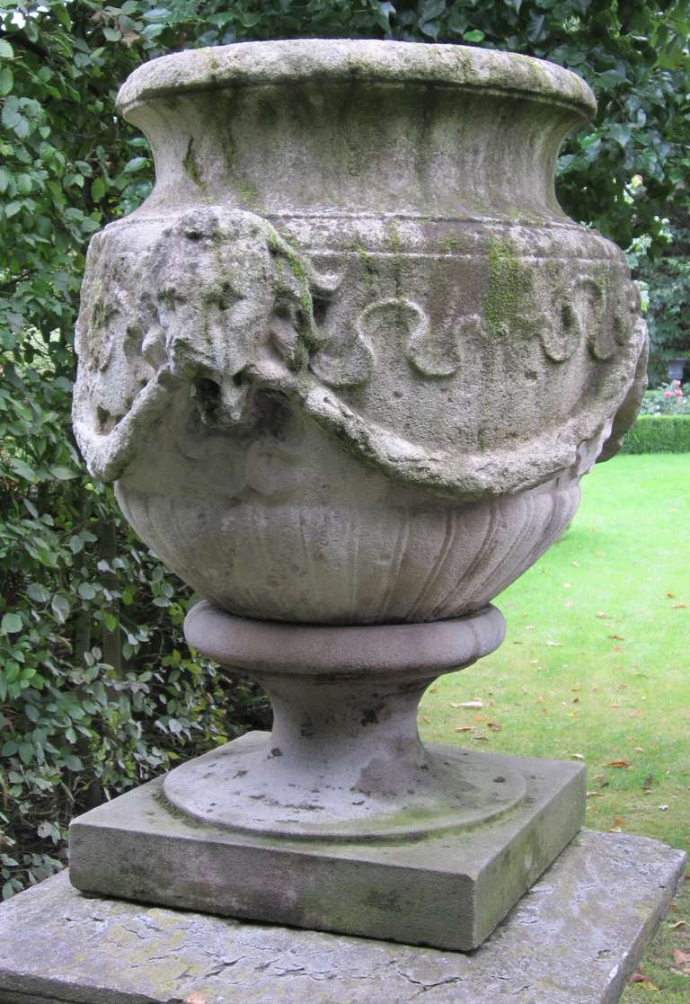 French 19thC Limestone Garden Urn