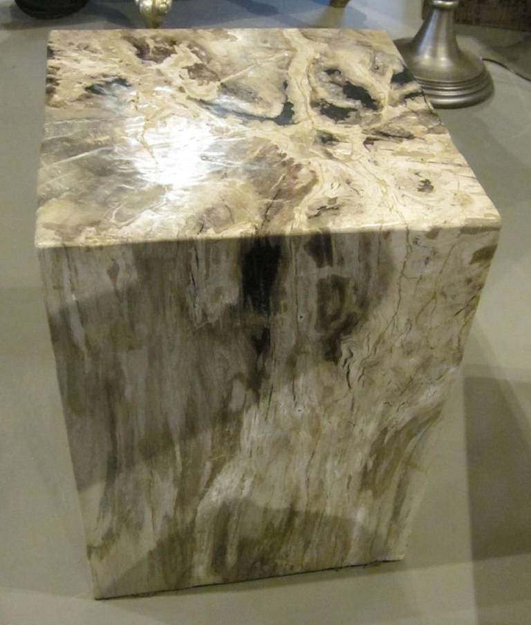 cube world petrified village