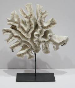 Fossilized Coral Sculpture, Indonesia, Vintage