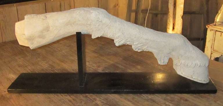 French Plaster Horse Leg Sculpture, circa 1940 In Excellent Condition In New York, NY