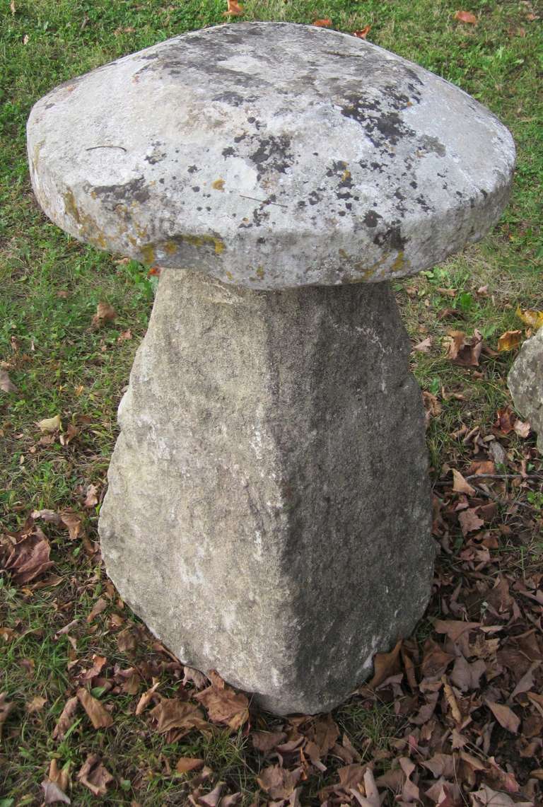 English Staddle Stones 3