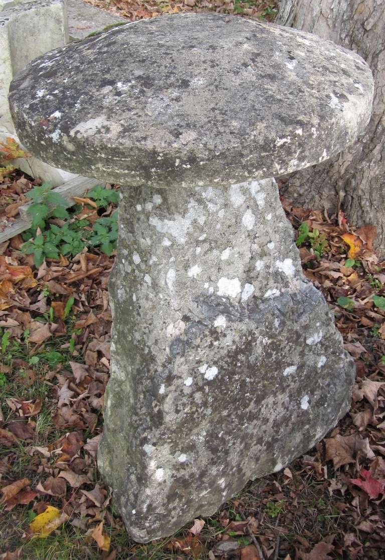 19th Century English Staddle Stones