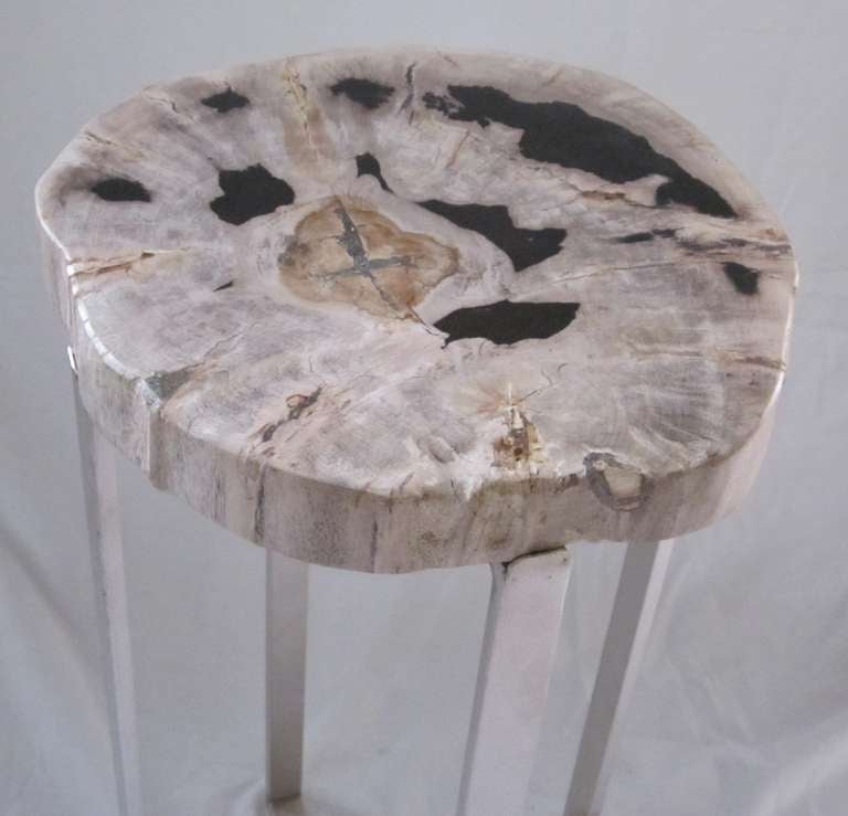 18th Century and Earlier Petrified Wood Slice Side Table