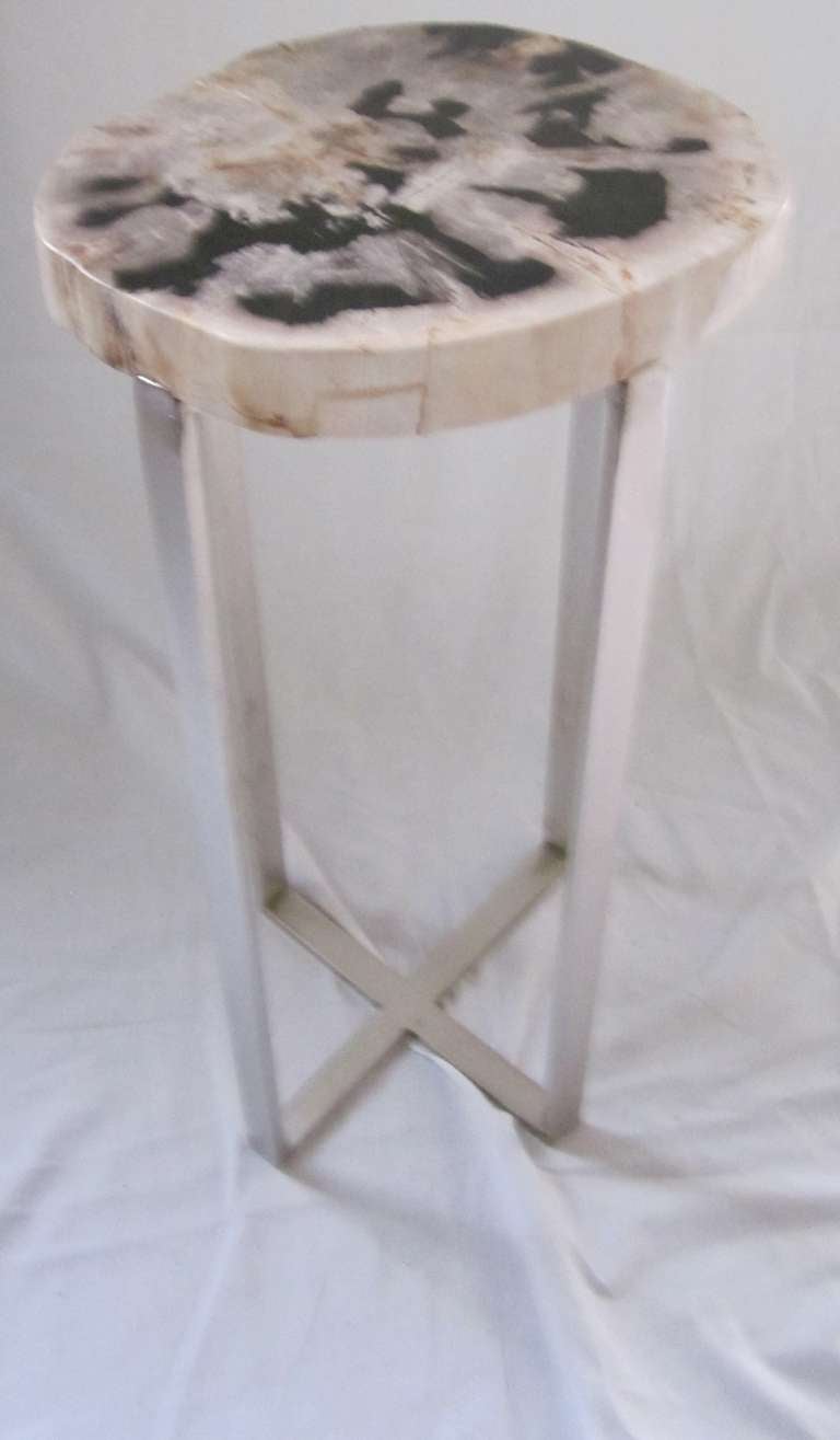 Petrified Wood Slice Side Table at 1stdibs