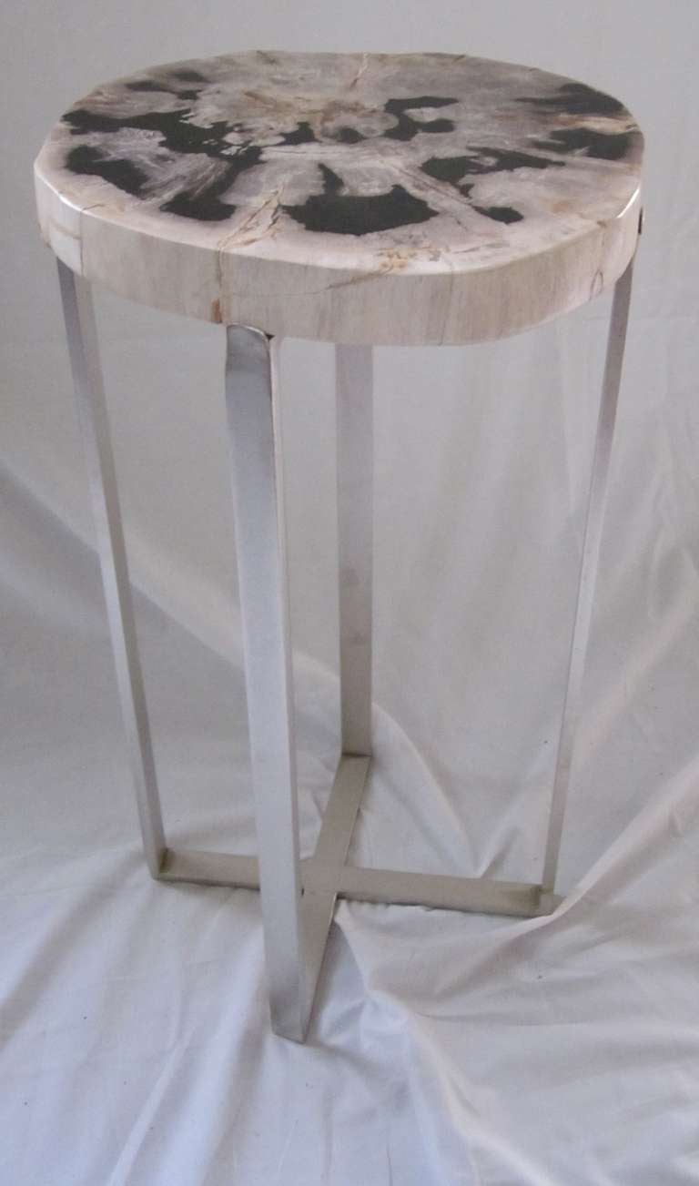 Petrified Wood Slice Side Table 2