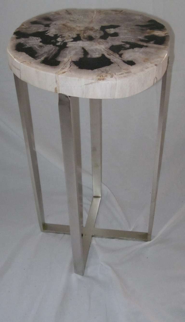 Petrified Wood Slice Side Table 3