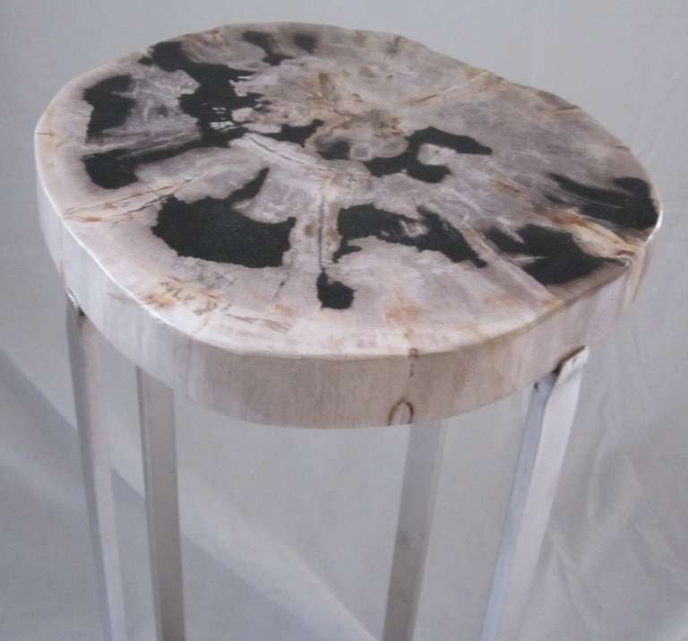 Petrified Wood Slice Side Table at 1stdibs