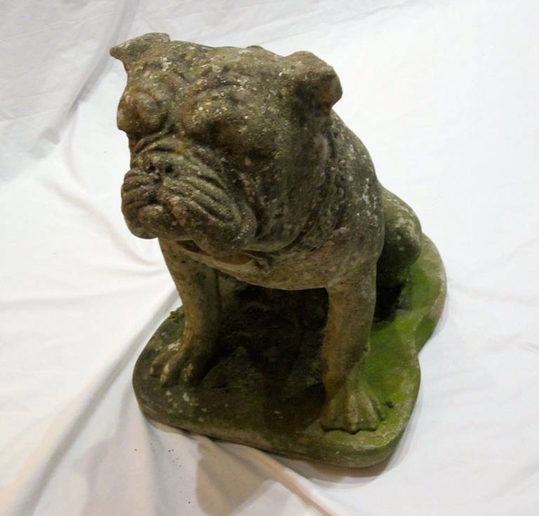 This English composition stone statue of a bulldog from the 1920's has great facial features and detailed carvings.  He'd be wonderful on display outside in a garden or in any inside room.