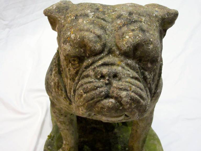 Stone Bulldog Statue, England, 1920s In Excellent Condition In New York, NY