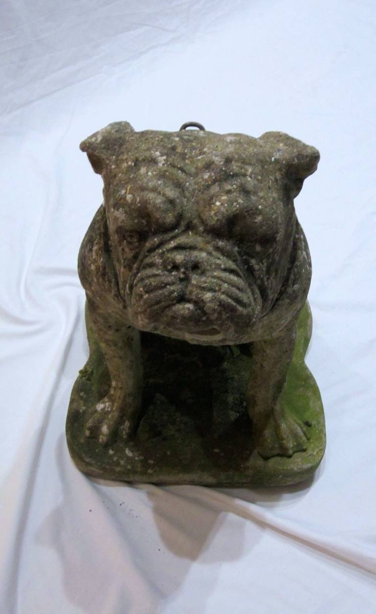 20th Century Stone Bulldog Statue, England, 1920s