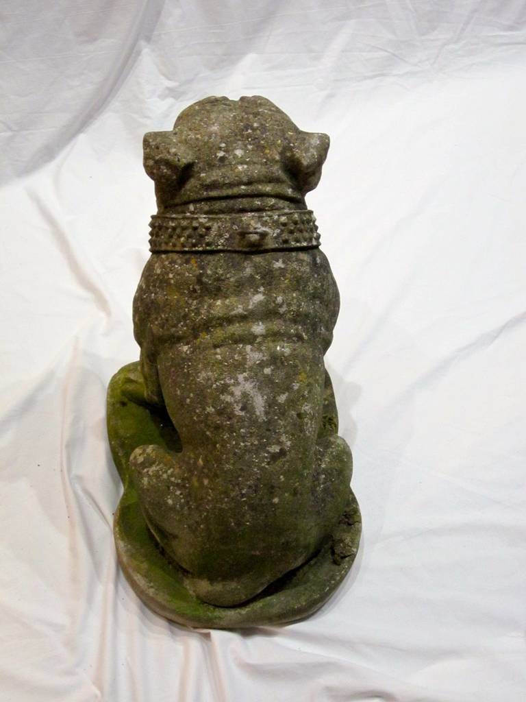 Stone Bulldog Statue, England, 1920s 1