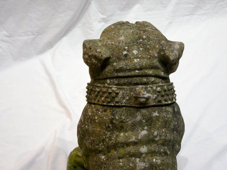 Stone Bulldog Statue, England, 1920s 2