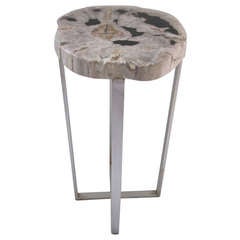 Petrified Wood Slice Side Table