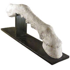 French Plaster Horse Leg Sculpture, circa 1940