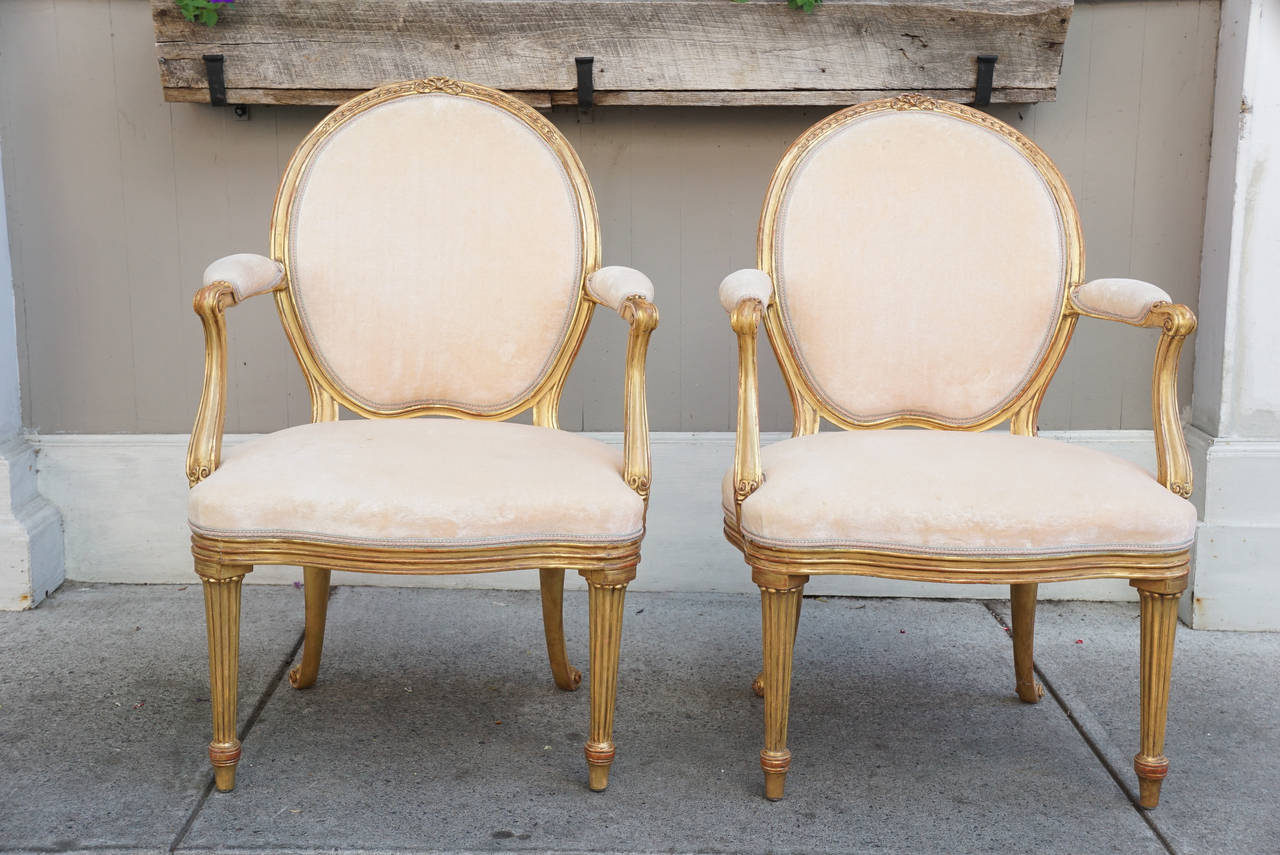 This fine pair of English chairs are from the last decades of the 18th century, George III, circa 1770-1780 and showing many of the points associated with the Adams style influenced by the French tastes. Despite the straight taped front legs
